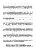 Реферат '“TikTok” ietekme uz X skolas vidusskolēnu pašizpausmi, identitātes veidošanos un', 13.