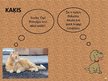 Презентация 'Prezentācija par mājdzīvniekiem 5-6 gadus veciem bērniem', 3.