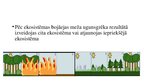 Презентация 'Vegetation succession among and within structural layers following wildfire in m', 8.