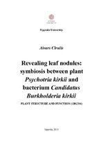 Реферат 'Revealing Leaf Nodules: Symbiosis between Plant Psychotria Kirkii and Bacterium ', 1.
