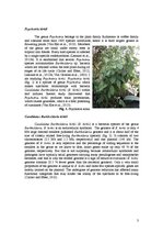 Реферат 'Revealing Leaf Nodules: Symbiosis between Plant Psychotria Kirkii and Bacterium ', 3.