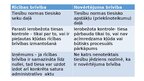 Презентация 'Rīcības brīvība, samērīgums un nenoteiktais tiesību jēdziens', 14.