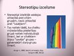 Презентация 'Sociālie stereotipi; jēdziens un funkcijas', 7.
