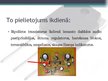 Презентация 'Bipolārie tranzistori', 10.