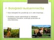Презентация 'Lauksaimniecība pasaule un Latvijā', 7.