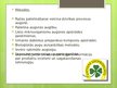 Презентация 'Lauksaimniecība pasaule un Latvijā', 9.