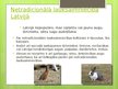 Презентация 'Lauksaimniecība pasaule un Latvijā', 13.