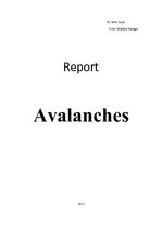 Реферат 'Avalanches', 1.