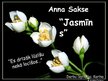 Презентация 'Anna Sakse "Jasmīns"', 1.
