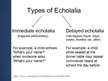 Презентация 'Symptoms and Causes of Echolalia', 3.
