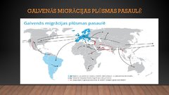 Презентация 'Migrācija, tās sekas un ietekme uz uz valsts attīstību', 10.