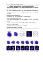 Конспект 'Konspekts integrēto mācību nodarbībai', 5.