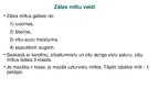 Презентация 'Zāles milti un granulas', 9.
