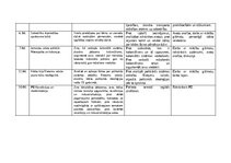 Отчёт по практике 'Skolotāja prakse III', 12.