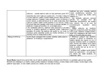 Отчёт по практике 'Skolotāja prakse III', 15.