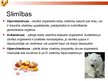 Презентация 'Vispārīga informācija par vitamīniem', 6.