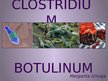 Презентация 'Clostridium botulinum baktērija', 1.