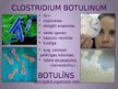 Презентация 'Clostridium botulinum baktērija', 3.