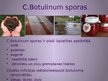 Презентация 'Clostridium botulinum baktērija', 4.