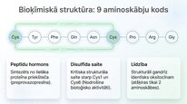 Презентация 'Vazopresīns', 4.