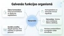 Презентация 'Vazopresīns', 6.