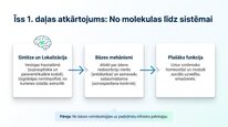 Презентация 'Vazopresīns', 14.