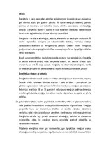 Эссе 'Enerģētika: ilgtspējība, inovācijas un globālā nozīme', 1.