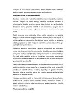 Эссе 'Enerģētika: ilgtspējība, inovācijas un globālā nozīme', 3.