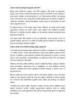 Конспект 'Kas ir koučings un kā ar koučinga pieeju attīstīt uzņēmuma panākumus', 17.