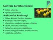 Презентация 'Privātie selekcionāri Latvijā', 12.