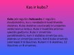 Презентация 'Kubs', 2.