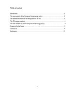 Эссе 'Energy Policy in the European Union and Germany', 2.