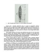 Конспект 'Zivju parazīts Sanguinicola inermis', 2.