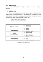 Реферат 'Restorāna "Provansa" tirgus analīze', 9.