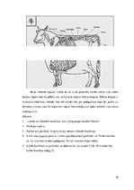 Реферат 'Moksa terapijas pielietošana govs ārstēšanai', 9.