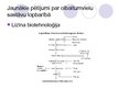 Презентация 'Olbaltumvielas', 7.