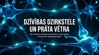 Презентация 'Darbības potenciāls un epilepsija: depolarizācija un repolarizācija smadzenēs', 1.