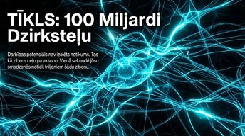 Презентация 'Darbības potenciāls un epilepsija: depolarizācija un repolarizācija smadzenēs', 5.