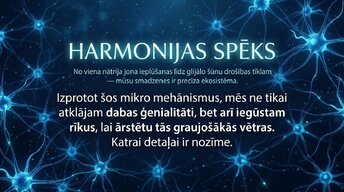Презентация 'Darbības potenciāls un epilepsija: depolarizācija un repolarizācija smadzenēs', 13.