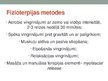 Презентация 'Fibromialģijas sindroms. Ārstēšanas iespējas, fizioterpija', 17.