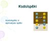 Презентация 'Kodolfizika', 45.