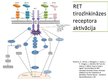 Презентация 'RET proto-onkogēns, tā veidotais receptors un izraisītās slimības', 5.