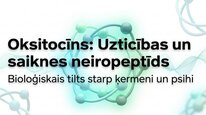 Презентация 'Oksitocīns', 1.