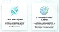 Презентация 'Oksitocīns', 2.