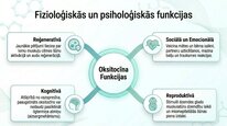 Презентация 'Oksitocīns', 6.