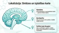 Презентация 'Oksitocīns', 7.