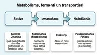 Презентация 'Oksitocīns', 16.
