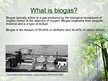 Презентация 'Biogas', 2.