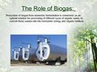 Презентация 'Biogas', 10.