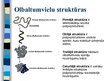 Презентация 'Olbaltumvielu bioloģisko funkciju daudzveidība dzīvajos organismos', 4.